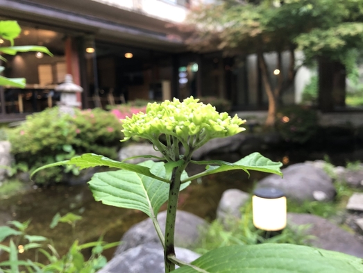 栃木を満喫！《１泊２食》温泉宿でのんびりスタンダードプラン　【関東甲信越★おすすめ宿】